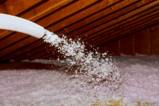Best Eco-Friendly Insulation in La Grande, OR